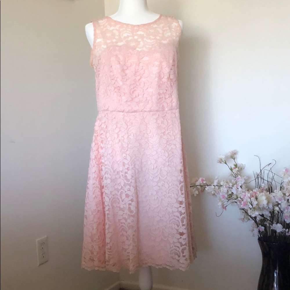 Pink Fit & Flare with Lace